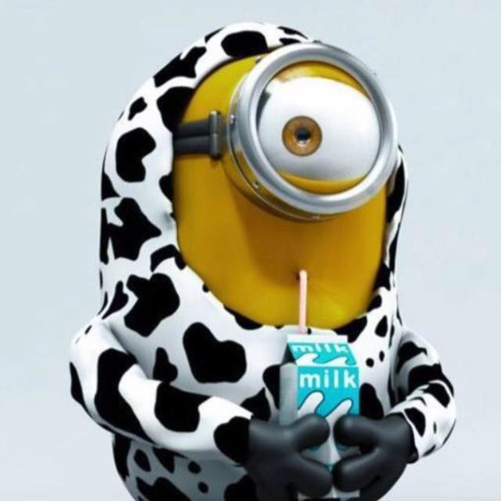 Meet your Posher, Katrina